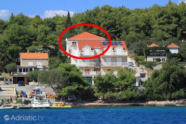 Property - Apartments 10049 Property Lumbarda (Korčula) - Accommodation 10049 - Apartments near sea.