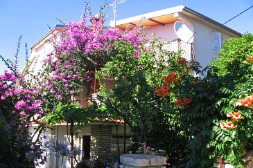 Property - Apartments 1090 Property Rogoznica (Rogoznica) - Accommodation 1090 - Apartments near sea with pebble beach.