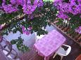 Shared terrace Shared terrace - Apartment A-1090-a - Apartments Rogoznica (Rogoznica) - 1090