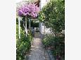 Property - Rooms 1150 Property Komiža (Vis) - Accommodation 1150 - Rooms with pebble beach.