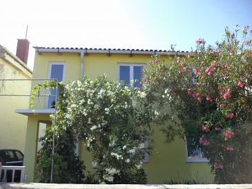 Property - Apartments 11812 Property Vir (Vir) - Accommodation 11812 - Apartments in Croatia.