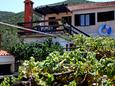 Vacation Rentals Uvala Zaraće (Hvar) - 2048