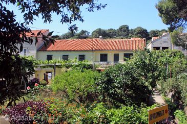 Property - Apartments 2125 Property Zaton Veliki (Dubrovnik) - Accommodation 2125 - Apartments with pebble beach.