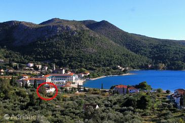 Property - Apartments 2160 Property Slano (Dubrovnik) - Accommodation 2160 - Apartments near sea with sandy beach.