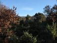 Shared terrace - view Shared terrace - view - Apartment A-2187-a - Apartments Rogoznica (Rogoznica) - 2187