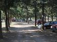 Parking lot - Apartments 2420 Parking lot Komiža (Vis) - Accommodation 2420 - Apartments with pebble beach.