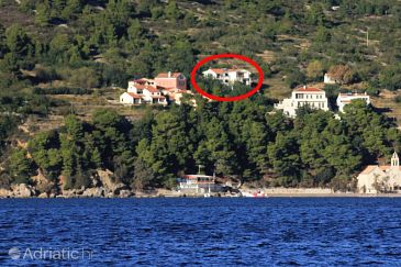 Property - Apartments 2456 Property Komiža (Vis) - Accommodation 2456 - Apartments near sea with pebble beach.