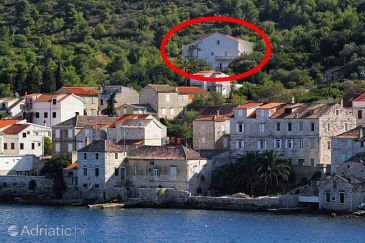 Property - Apartments 2470 Property Vis (Vis) - Accommodation 2470 - Apartments near sea with pebble beach.