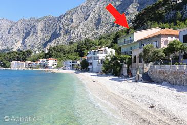Property - Apartments 2644 Property Drašnice (Makarska) - Accommodation 2644 - Apartments near sea with pebble beach.