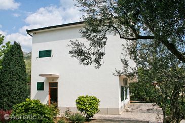 Property - Apartments and Rooms 2661 Property Zaostrog (Makarska) - Accommodation 2661 - Apartments and Rooms near sea with rocky beach.