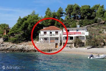 Property - Apartments 2997 Property Uvala Tvrdni Dolac (Hvar) - Accommodation 2997 - Apartments near sea with pebble beach.