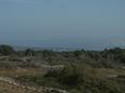 Terrace - view Terrace - view - Room S-3050-b - Rooms Loznati (Cres) - 3050