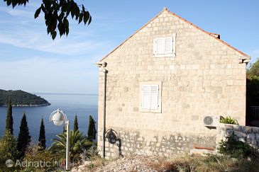 Property - Apartments 3173 Property Dubrovnik (Dubrovnik) - Accommodation 3173 - Apartments with pebble beach.