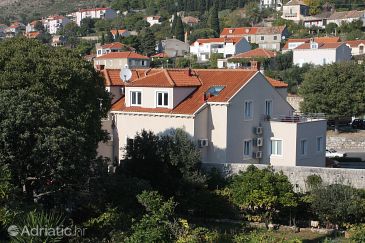 Property - Apartments 3177 Property Dubrovnik (Dubrovnik) - Accommodation 3177 - Apartments with pebble beach.