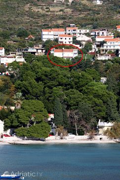 Property - Apartments 3182 Property Mlini (Dubrovnik) - Accommodation 3182 - Apartments with pebble beach.