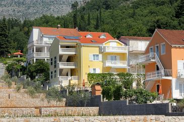 Property - Apartments 3183 Property Slano (Dubrovnik) - Accommodation 3183 - Apartments with pebble beach.