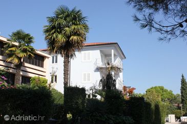 Property - Apartments 3393 Property Rovinj (Rovinj) - Accommodation 3393 - Apartments with pebble beach.