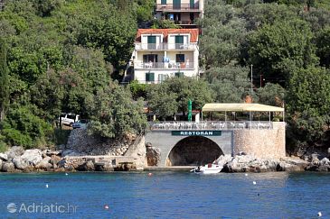 Property - Apartments 3544 Property Molunat (Dubrovnik) - Accommodation 3544 - Apartments near sea.