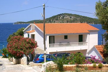 Property - Apartments 4253 Property Ražanj (Rogoznica) - Accommodation 4253 - Apartments near sea.
