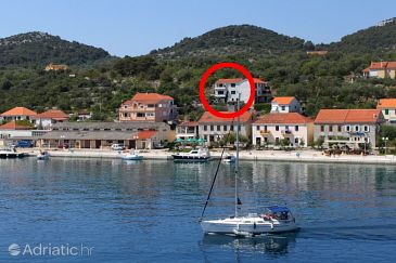 Property - Apartments 444 Property Sali (Dugi otok) - Accommodation 444 - Apartments near sea with pebble beach.