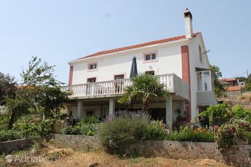 Property - Apartments 449 Property Žman (Dugi otok) - Accommodation 449 - Apartments in Croatia.