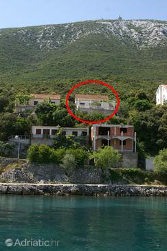 Property Uvala Crkvice, Pelješac, Property 4505 - Apartments blizu mora with pebble beach.