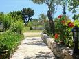 Shared terrace - view Shared terrace - view - Studio flat AS-4548-a - Apartments Orebić (Pelješac) - 4548