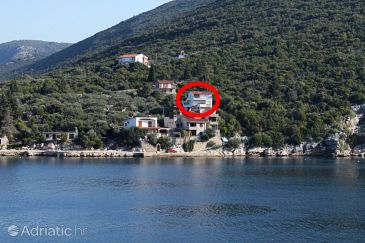 Property - Apartments 4604 Property Uvala Pokrivenik (Hvar) - Accommodation 4604 - Apartments near sea.