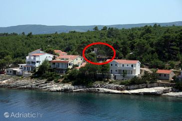 Property - Apartments 4622 Property Basina (Hvar) - Accommodation 4622 - Apartments near sea.