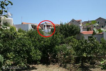 Property - Apartments 4626 Property Stari Grad (Hvar) - Accommodation 4626 - Apartments near sea with pebble beach.