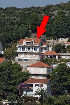 Property - Apartments 4688 Property Dubrovnik (Dubrovnik) - Accommodation 4688 - Apartments with pebble beach.