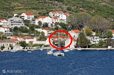 Property - Apartments 4690 Property Mokošica (Dubrovnik) - Accommodation 4690 - Apartments near sea.