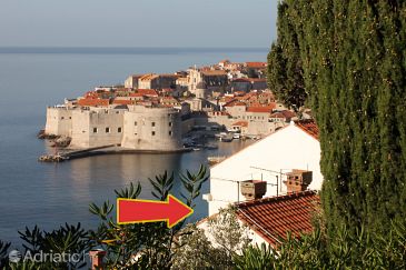 Property - Apartments and Rooms 4736 Property Dubrovnik (Dubrovnik) - Accommodation 4736 - Apartments and Rooms with pebble beach.