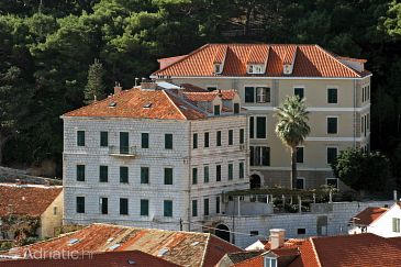 Property - Apartments and Rooms 4742 Property Dubrovnik (Dubrovnik) - Accommodation 4742 - Apartments and Rooms near sea with pebble beach.