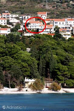 Property - Apartments 4764 Property Mlini (Dubrovnik) - Accommodation 4764 - Apartments with pebble beach.