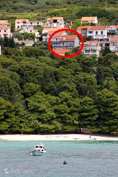 Property - Apartments and Rooms 4772 Property Mlini (Dubrovnik) - Accommodation 4772 - Apartments and Rooms with pebble beach.