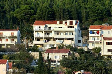 Property - Apartments 4785 Property Dubrovnik (Dubrovnik) - Accommodation 4785 - Apartments with pebble beach.