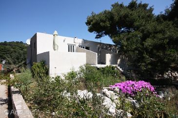 Property - Apartments 4914 Property Saplunara (Mljet) - Accommodation 4914 - Apartments near sea.
