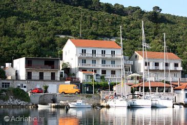 Property - Apartments and Rooms 4935 Property Polače (Mljet) - Accommodation 4935 - Apartments and Rooms near sea.