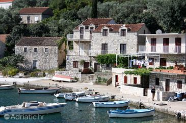 Property - Apartments 4947 Property Prožurska Luka (Mljet) - Accommodation 4947 - Apartments near sea.