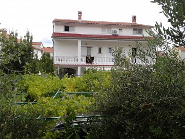 Property - Apartments 4990 Property Palit (Rab) - Accommodation 4990 - Apartments in Croatia.