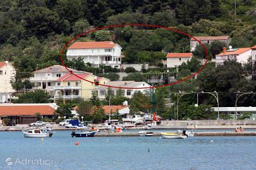Property - Apartments 5018 Property Kampor (Rab) - Accommodation 5018 - Apartments in Croatia.