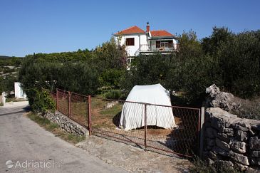 Property - Rooms 5191 Property Maslinica (Šolta) - Accommodation 5191 - Rooms with pebble beach.
