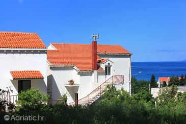 Property - Rooms 5222 Property Cavtat (Dubrovnik) - Accommodation 5222 - Rooms with pebble beach.