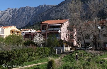 Property - Apartments 5264 Property Makarska (Makarska) - Accommodation 5264 - Apartments with pebble beach.