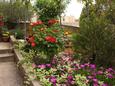 Courtyard - Apartments 5364 Courtyard Krk (Krk) - Accommodation 5364 - Apartments with pebble beach.