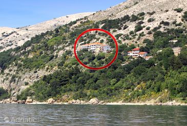 Property - Apartments and Rooms 5447 Property Stara Baška (Krk) - Accommodation 5447 - Apartments and Rooms with pebble beach.