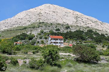 Property - Apartments and Rooms 5460 Property Stara Baška (Krk) - Accommodation 5460 - Apartments and Rooms with pebble beach.