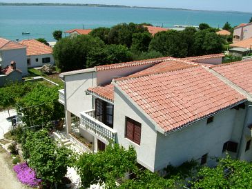 Property - Apartments 5791 Property Vrsi - Mulo (Zadar) - Accommodation 5791 - Apartments near sea with pebble beach.
