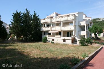 Property - Apartments 6375 Property Stara Novalja (Pag) - Accommodation 6375 - Apartments near sea.